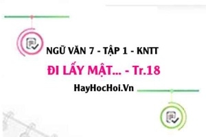 Soạn bài Đi lấy mật trang 18 Ngữ văn lớp 7 Kết nối tri thức tập 1